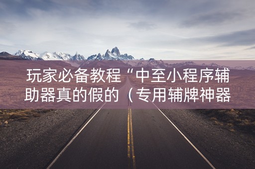 玩家必备教程“中至小程序辅助器真的假的（专用辅牌神器免安装）