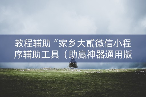 教程辅助“家乡大贰微信小程序辅助工具（助赢神器通用版）