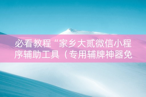 必看教程“家乡大贰微信小程序辅助工具（专用辅牌神器免安装）