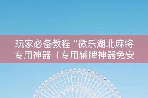 玩家必备教程“微乐湖北麻将专用神器（专用辅牌神器免安装）