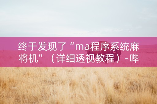 终于发现了“ma程序系统麻将机”（详细透视教程）-哔哩哔哩