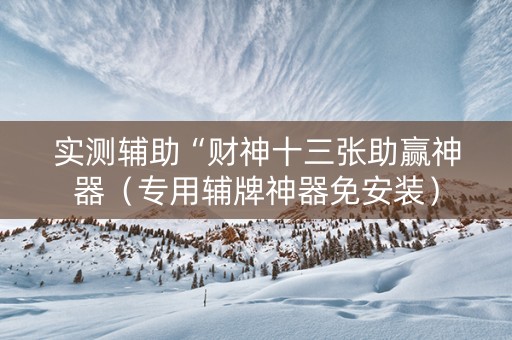 实测辅助“财神十三张助赢神器（专用辅牌神器免安装）