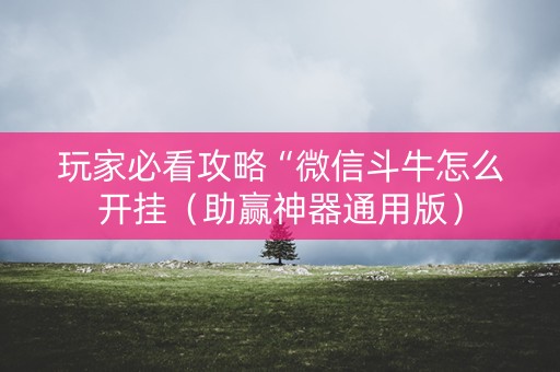 玩家必看攻略“微信斗牛怎么开挂（助赢神器通用版）