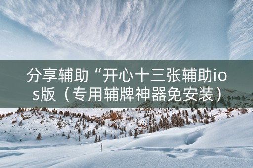分享辅助“开心十三张辅助ios版（专用辅牌神器免安装）