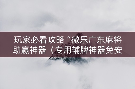 玩家必看攻略“微乐广东麻将助赢神器（专用辅牌神器免安装）