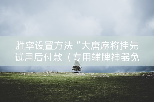 胜率设置方法“大唐麻将挂先试用后付款（专用辅牌神器免安装）