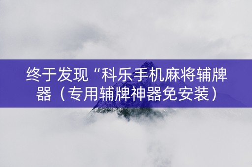 终于发现“科乐手机麻将辅牌器（专用辅牌神器免安装）