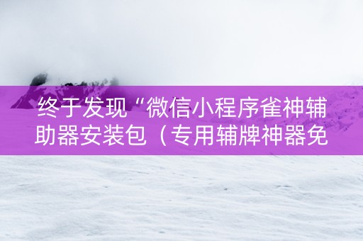 终于发现“微信小程序雀神辅助器安装包（专用辅牌神器免安装）