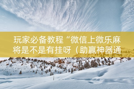 玩家必备教程“微信上微乐麻将是不是有挂呀（助赢神器通用版）