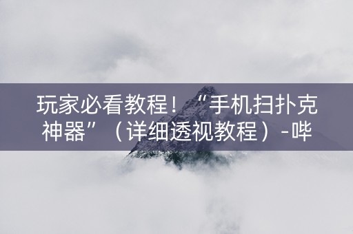 玩家必看教程！“手机扫扑克神器”（详细透视教程）-哔哩哔哩
