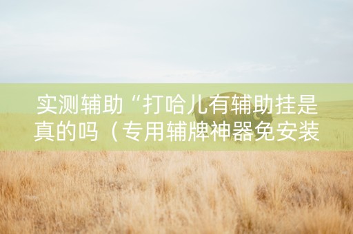 实测辅助“打哈儿有辅助挂是真的吗（专用辅牌神器免安装）