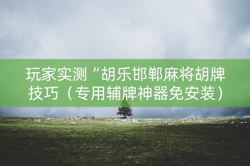 玩家实测“胡乐邯郸麻将胡牌技巧（专用辅牌神器免安装）