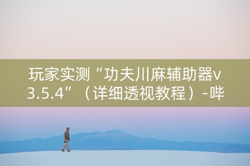 玩家实测“功夫川麻辅助器v3.5.4”（详细透视教程）-哔哩哔哩
