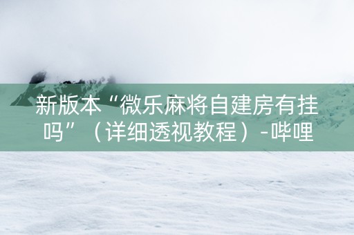 新版本“微乐麻将自建房有挂吗”（详细透视教程）-哔哩哔哩