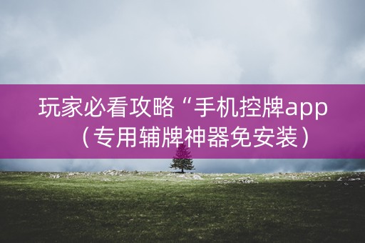 玩家必看攻略“手机控牌app（专用辅牌神器免安装）