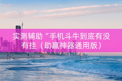 实测辅助“手机斗牛到底有没有挂（助赢神器通用版）