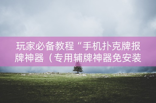 玩家必备教程“手机扑克牌报牌神器（专用辅牌神器免安装）