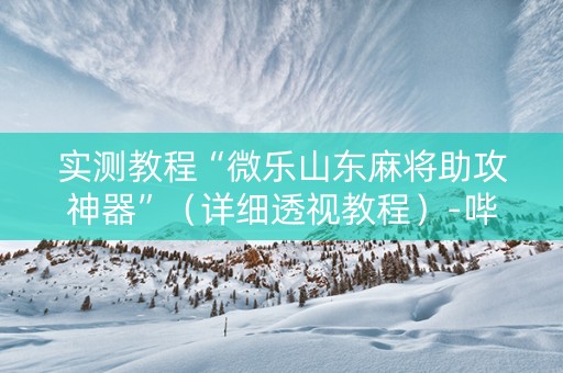 实测教程“微乐山东麻将助攻神器”（详细透视教程）-哔哩哔哩