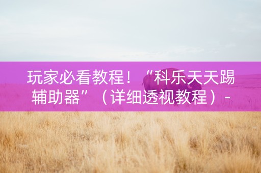 玩家必看教程！“科乐天天踢辅助器”（详细透视教程）-哔哩哔哩