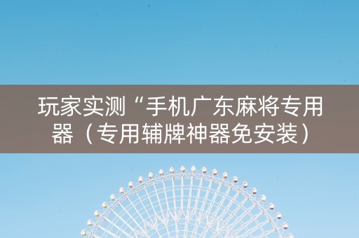 玩家实测“手机广东麻将专用器（专用辅牌神器免安装）