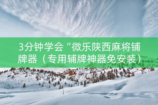 3分钟学会“微乐陕西麻将铺牌器（专用辅牌神器免安装）