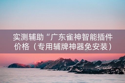 实测辅助“广东雀神智能插件价格（专用辅牌神器免安装）