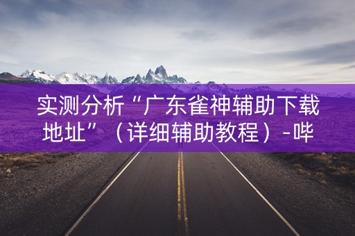 实测分析“广东雀神辅助下载地址”（详细辅助教程）-哔哩哔哩