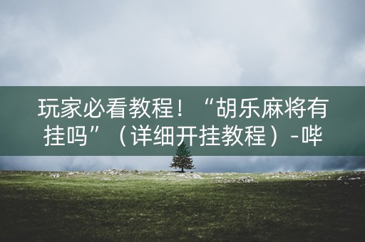 玩家必看教程！“胡乐麻将有挂吗”（详细开挂教程）-哔哩哔哩