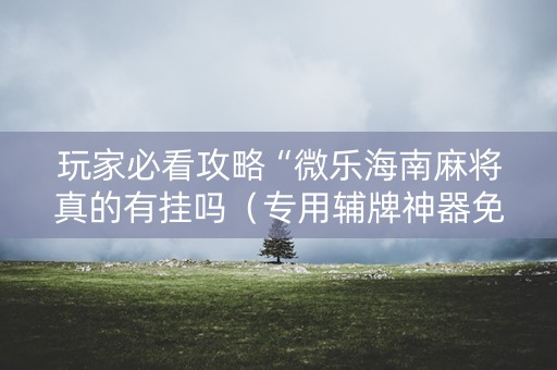 玩家必看攻略“微乐海南麻将真的有挂吗（专用辅牌神器免安装）