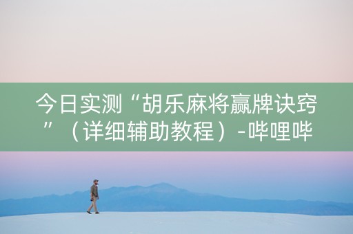 今日实测“胡乐麻将赢牌诀窍”（详细辅助教程）-哔哩哔哩