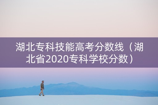 湖北专科技能高考分数线（湖北省2020专科学校分数）