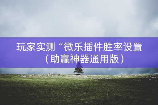 玩家实测“微乐插件胜率设置（助赢神器通用版）