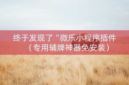 终于发现了“微乐小程序插件（专用辅牌神器免安装）