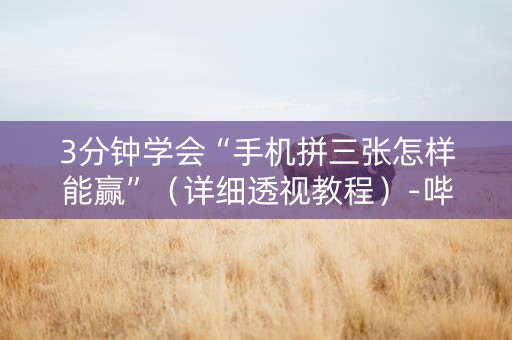 3分钟学会“手机拼三张怎样能赢”（详细透视教程）-哔哩哔哩
