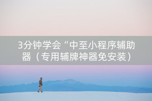 3分钟学会“中至小程序辅助器（专用辅牌神器免安装）