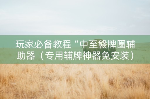 玩家必备教程“中至赣牌圈辅助器（专用辅牌神器免安装）