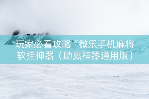 玩家必看攻略“微乐手机麻将软挂神器（助赢神器通用版）
