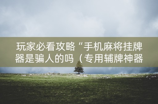 玩家必看攻略“手机麻将挂牌器是骗人的吗（专用辅牌神器免安装）