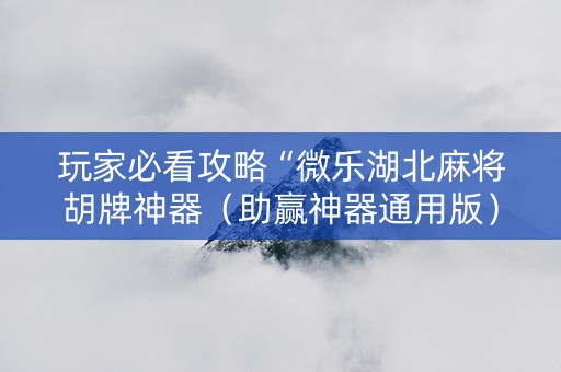 玩家必看攻略“微乐湖北麻将胡牌神器（助赢神器通用版）