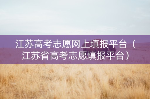 江苏高考志愿网上填报平台（江苏省高考志愿填报平台）