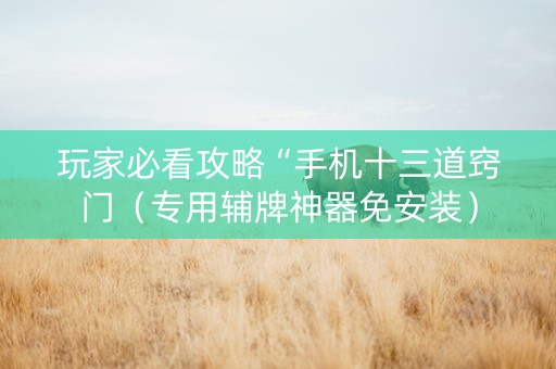 玩家必看攻略“手机十三道窍门（专用辅牌神器免安装）