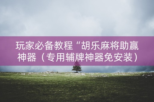 玩家必备教程“胡乐麻将助赢神器（专用辅牌神器免安装）