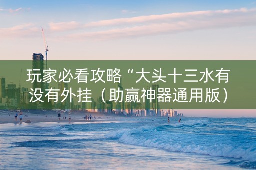 玩家必看攻略“大头十三水有没有外挂（助赢神器通用版）