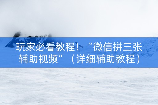 玩家必看教程！“微信拼三张辅助视频”（详细辅助教程）-哔哩哔哩