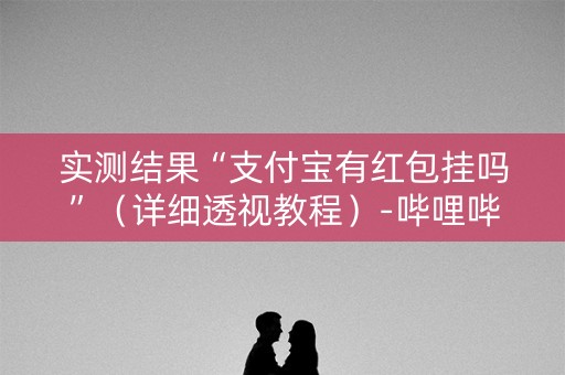 实测结果“支付宝有红包挂吗”（详细透视教程）-哔哩哔哩