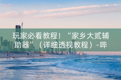 玩家必看教程！“家乡大贰辅助器”（详细透视教程）-哔哩哔哩