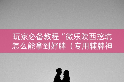 玩家必备教程“微乐陕西挖坑怎么能拿到好牌（专用辅牌神器免安装）