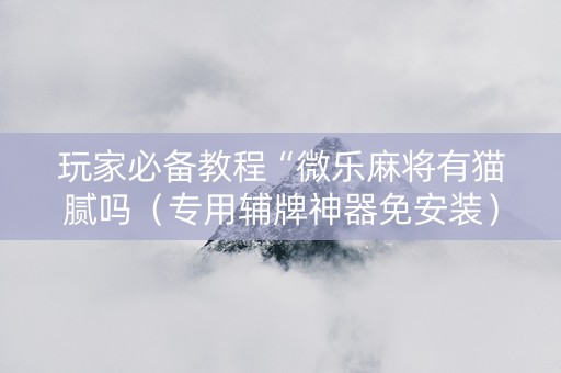玩家必备教程“微乐麻将有猫腻吗（专用辅牌神器免安装）