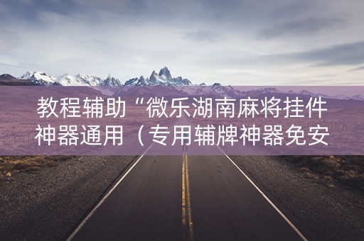 教程辅助“微乐湖南麻将挂件神器通用（专用辅牌神器免安装）
