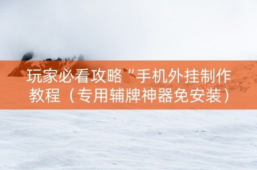 玩家必看攻略“手机外挂制作教程（专用辅牌神器免安装）